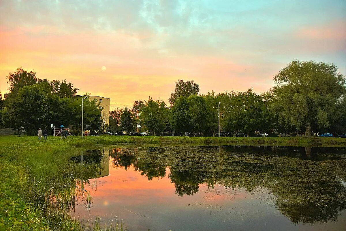 Воробьевский пруд митино. Водоем городе. Костинский пруд в королеве. Пруд костино королев. Черное озеро фрязино.