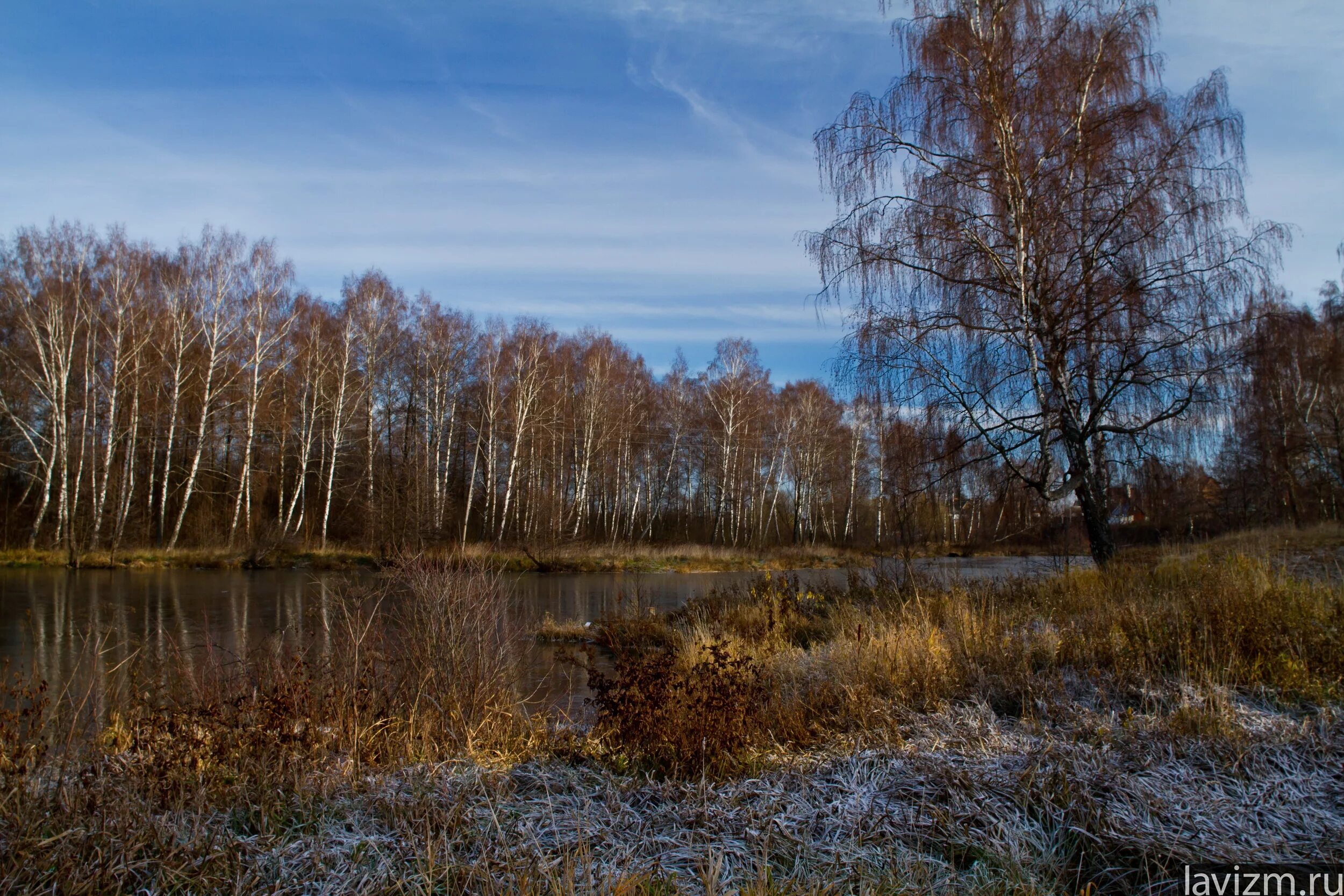Поздней осени какое число. Поздняя осень. Ноябрь природа. Ноябрьский пейзаж. Пейзажи средней полосы России.