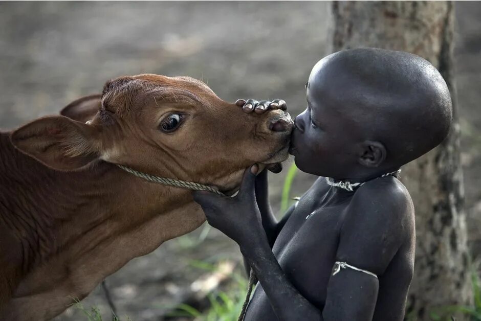 Африканские домашние животные. Африканка с животным. Дети племени с животными. Friends africa