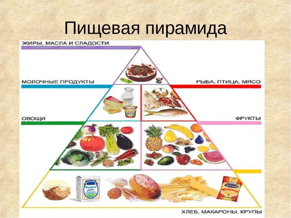 Сколько видов еды. Сколько видов еды