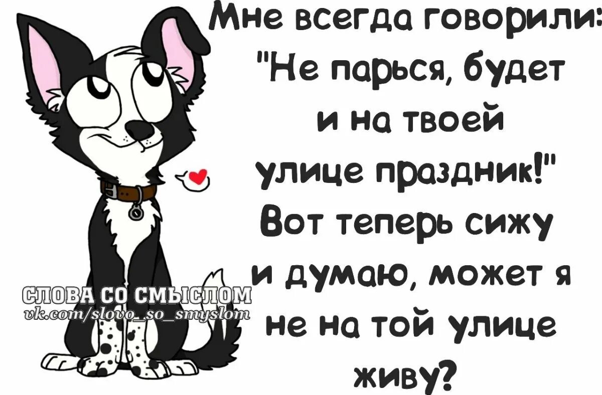 Ржачные приколы картинки со смыслом. Веселые статусы. прикольные открытки со смыслом. смешные высказывания в картинках про жизнь. юморные статусы в картинках.