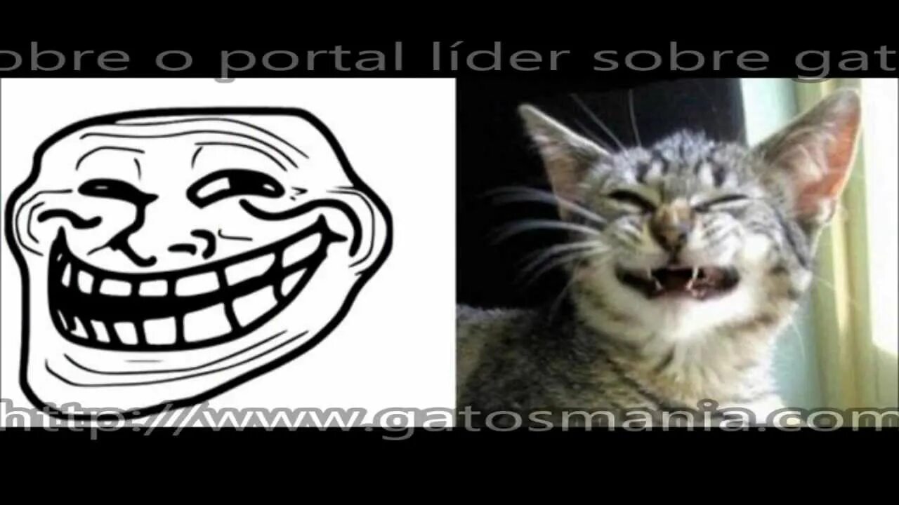 fetyaaa fetyaaa - YouTube
