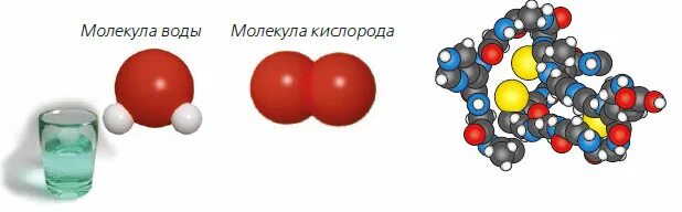 Молекулы сложных веществ. Модели молекул простых и сложных веществ. Модель молекулы сложного вещества. Молекулы простых и сложных веществ. Простые одинаковые атомы