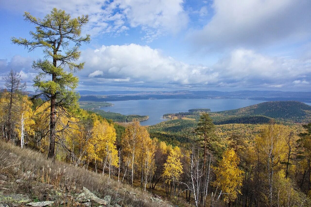 Разнообразие урала. Разнообразие урала. Природный парк река чусовая нижний тагил. Река чусовая екатеринбург. Разнообразие урала.