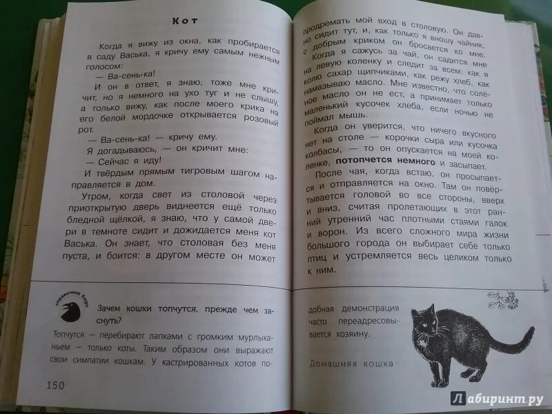 Тест по кладовой солнца 6 класс. Кладовая солнца вопросы. Кладовая солнца вопросы и ответы. Кладовая солнца 12 глава план. Пришвин кладовая солнца вопросы и ответы.