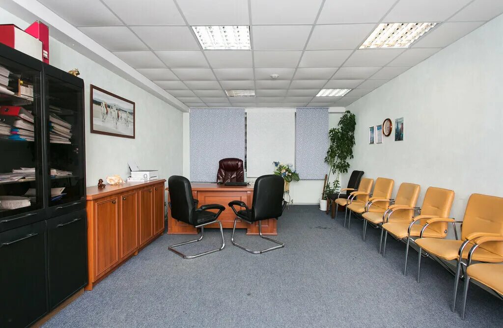 Семьи шамшиных 30 новосибирск. Анима клиника новосибирск. Анима клиника новосибирск. Анима, новосибирск, улица семьи шамшиных. Анима психологический центр новосибирск.