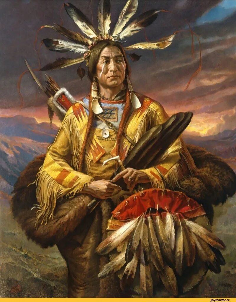 Текумсе. Шаман Мексики Дон Хуан. Ихеты индейцы Северной Америки. Индейцы Северной Америки Апачи. Американские индейцы вожди индейцев Северной Америки.