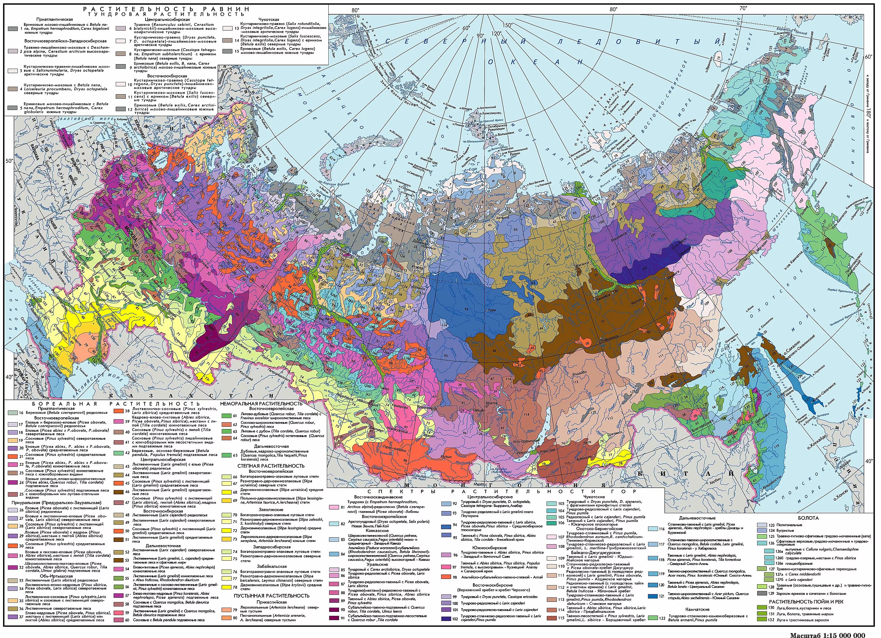 Карта народов россии атлас. Национальный атлас России растительность. Карта растительности России атлас. Национальный атлас России карта растительности. Карта растительности атлас СССР.