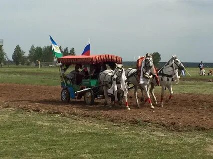 Погода дер большая устюба на неделю