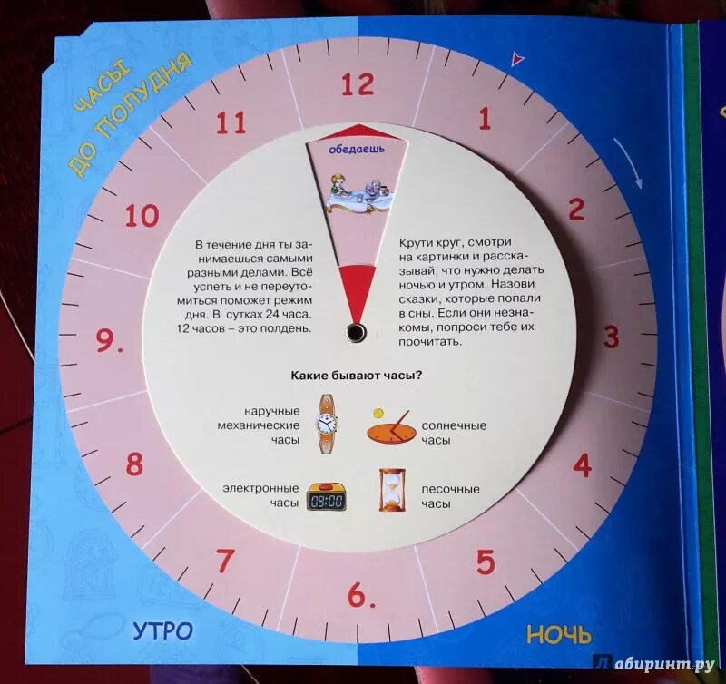 Сколько минут крутить. Круг время суток. Как называется время суток. Кружок время. Определение часов по кругу.