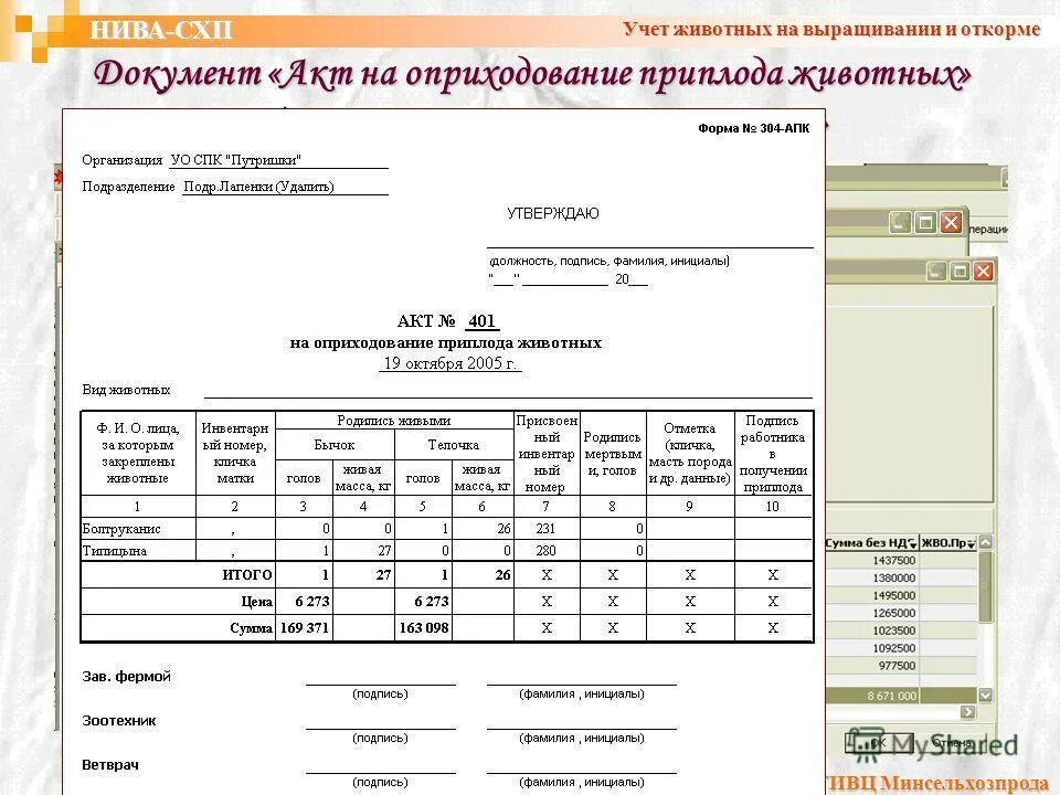 Акт на оприходования приплода животных ф СП-39. Акт на оприходование животных. На оприходование приплод животных. Акт на оприходование приплода. Списание кормов