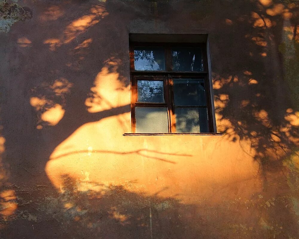 Отражение в окне. Отражения в окнах домов. Отражение деревьев в окне. Отражение солнца в окне.