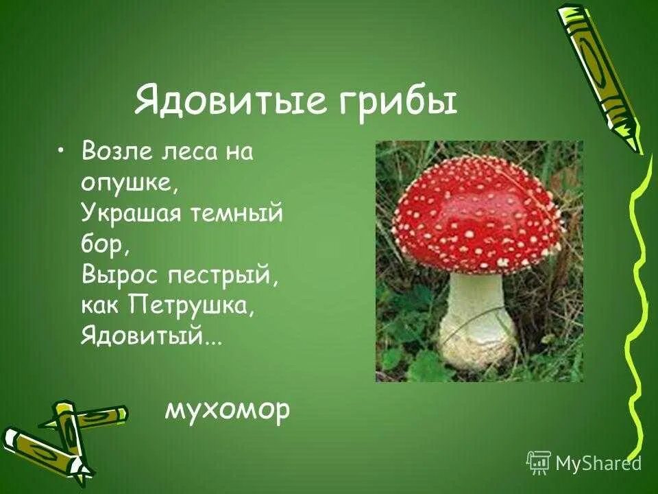 Ядовитые грибы. Презентация на тему ядовитые грибы. Сообщение о ядовитых грибах. Несъедобные грибы проект. Проект опасные грибы 2 класс окружающий мир