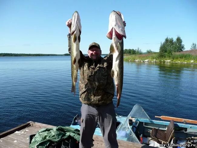 речной пейзаж. озеро чихайдарово йошкар-ола. озеро гирвас мурманская область. пляжи озера онтарио. гирвас озеро.