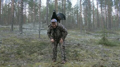 Глухарь 23