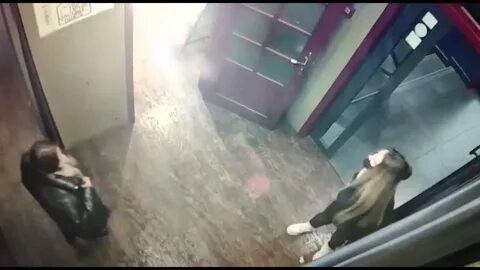 Кража шуб