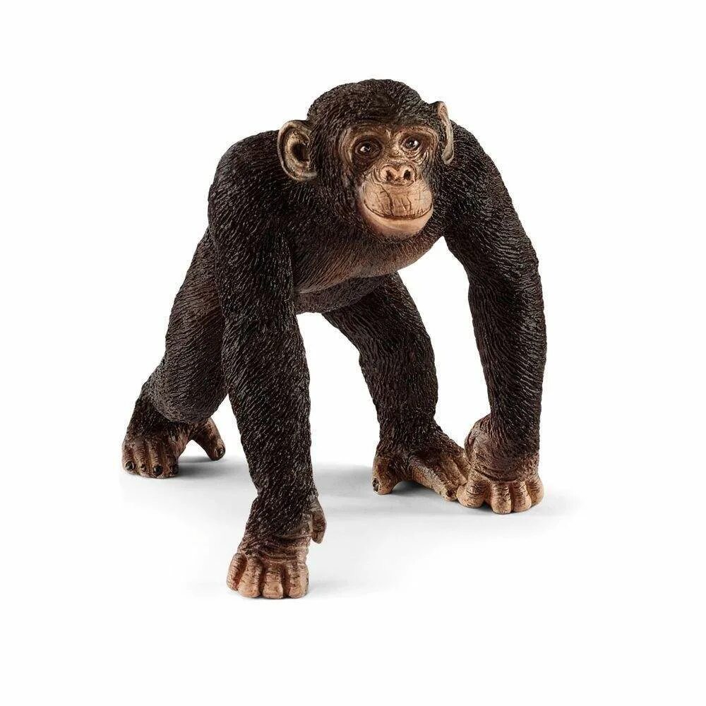 Фигурка Schleich шимпанзе самец 14817. Фигурка шимпанзе Schleich. Фигурка Schleich горилла самец 14770. Schleich шимпанзе самка 14817. Сколько стоит обезьянка в рублях