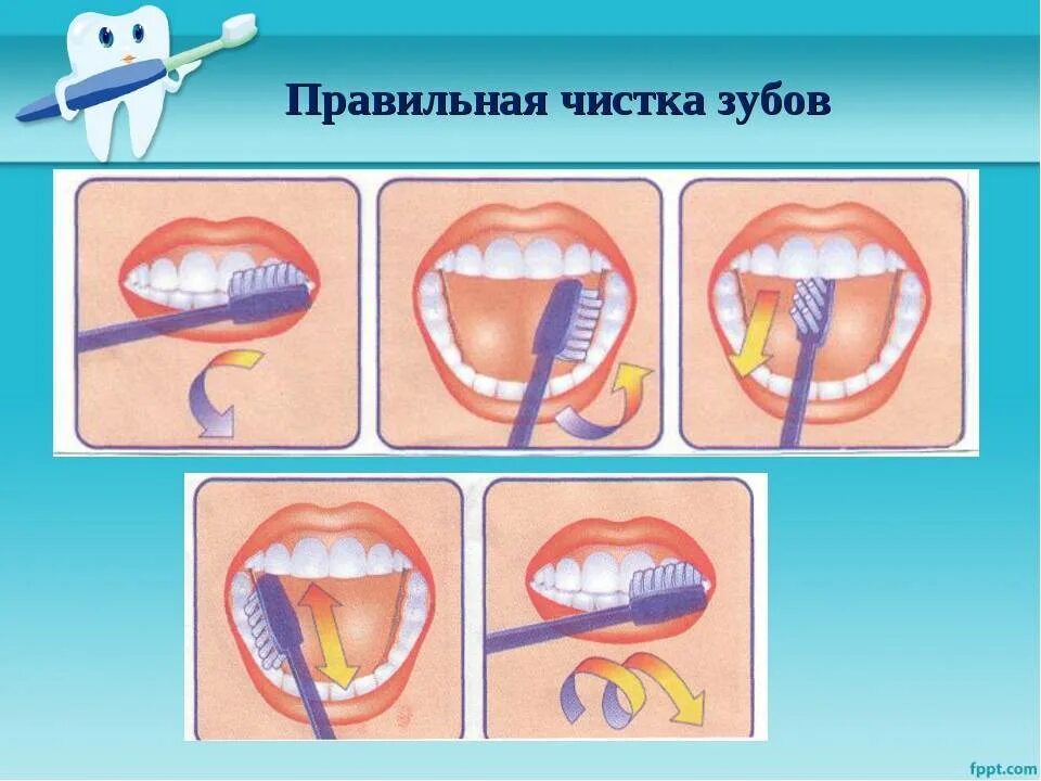 Алгоритм чистки зубов для дошкольников. Схема правильной чистки зубов. Правельна схема чистки зубов. Правильная чистка зубов. Правильно чистить зубы до завтрака или