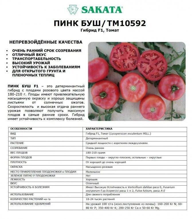 Томат пинк буш f1. Пинк буш f1. Томат пинк буш семена. Пинк профит f1 томат. Томат буш описание.