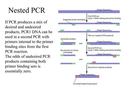 Nested path