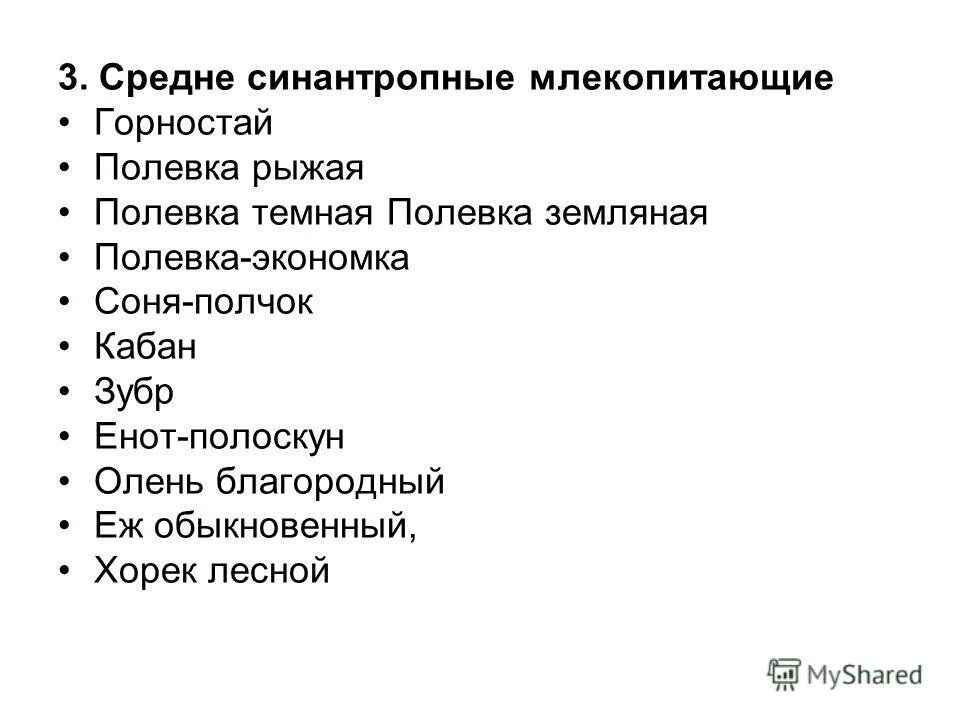 Каково значение синантропных животных в городской среде