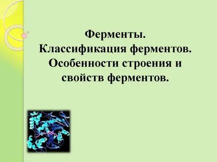 Свойства ферментов биология