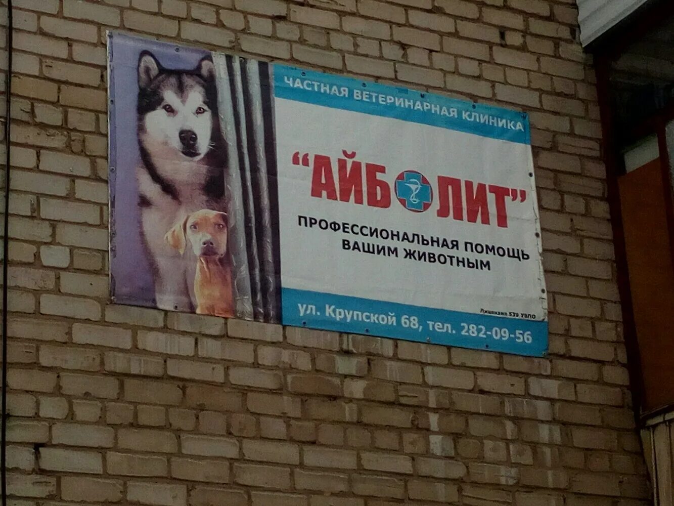 ветклиника айболит смоленск. ветклиника айболит смоленск. ветеринарная клиника айболит смоленск. ветеринарная клиника айболит смоленск. ветеринарная клиника ростов на дону на сельмаше.