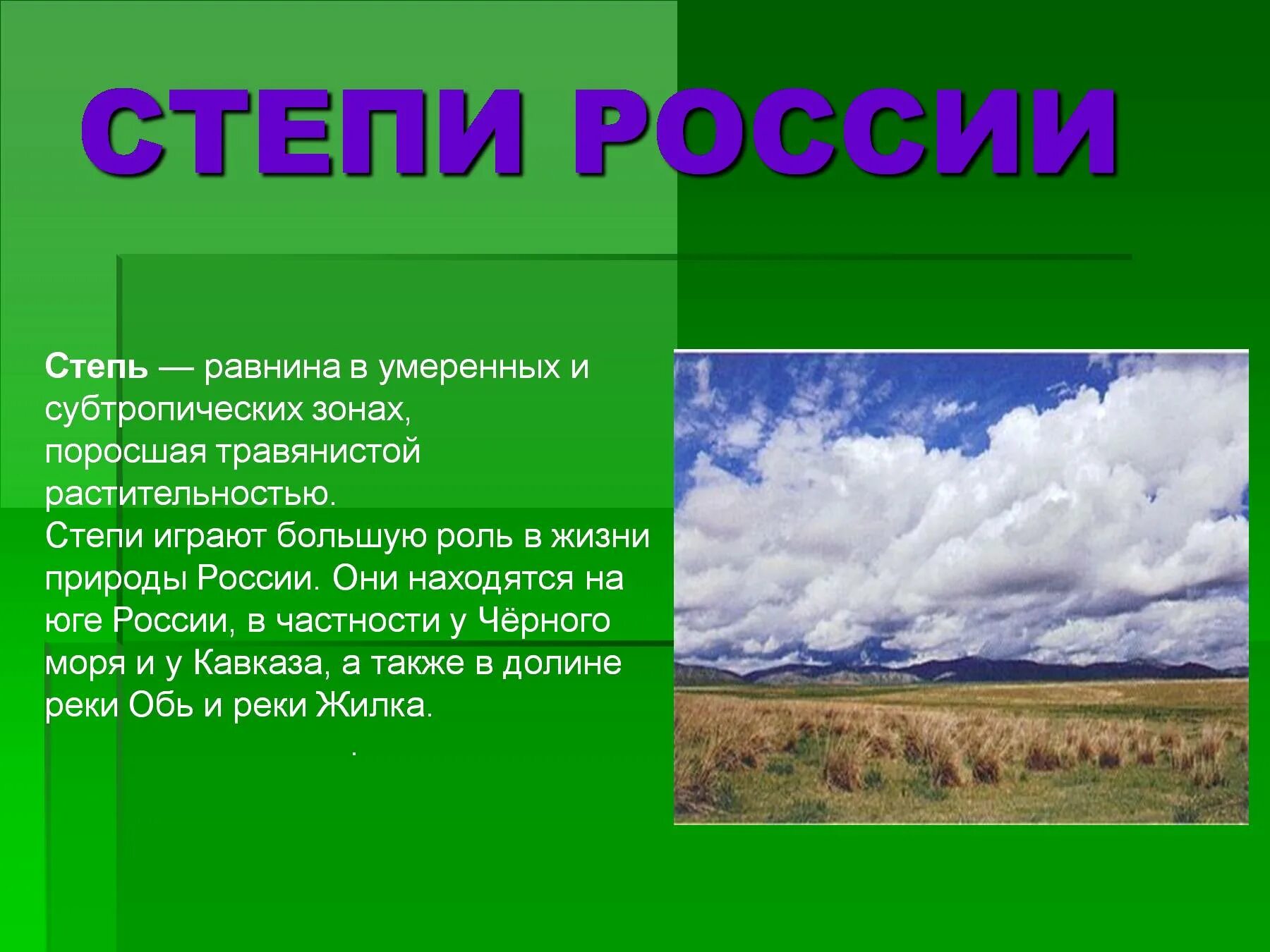 Презентация на тему степь. Доклад про степь. Степная зона презентация. Степи России презентация.