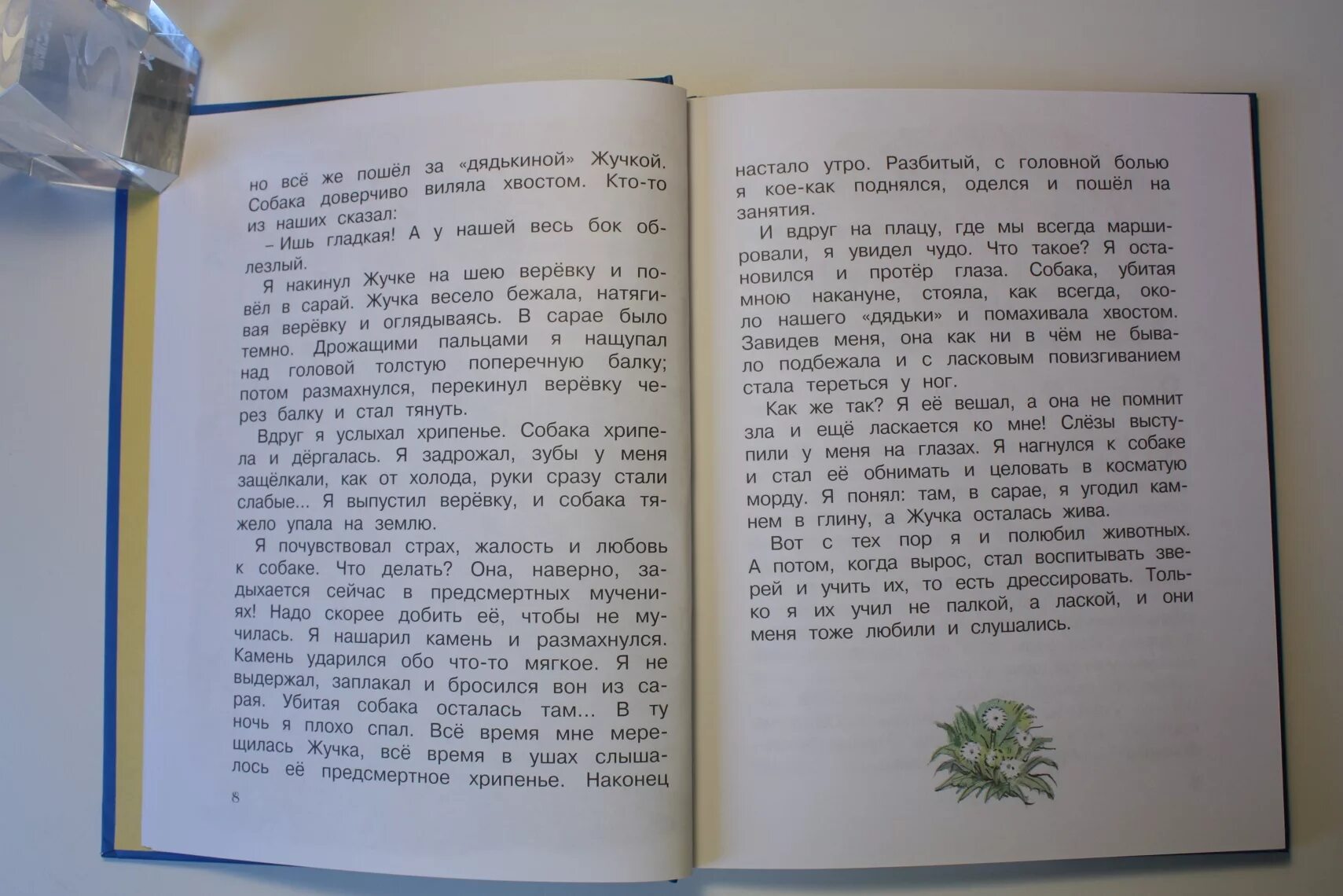 Наша жучка рассказ Дуров. Рассказ Дурова жучка. Дуров наша жучка текст. Рассказ о жучке. Рассказ дурова наша жучка