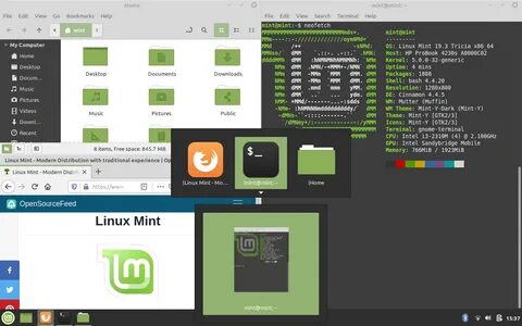 Mint intel