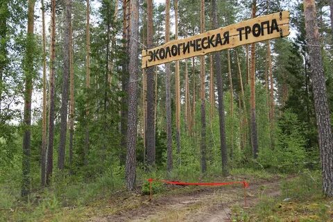 Бор кировская область