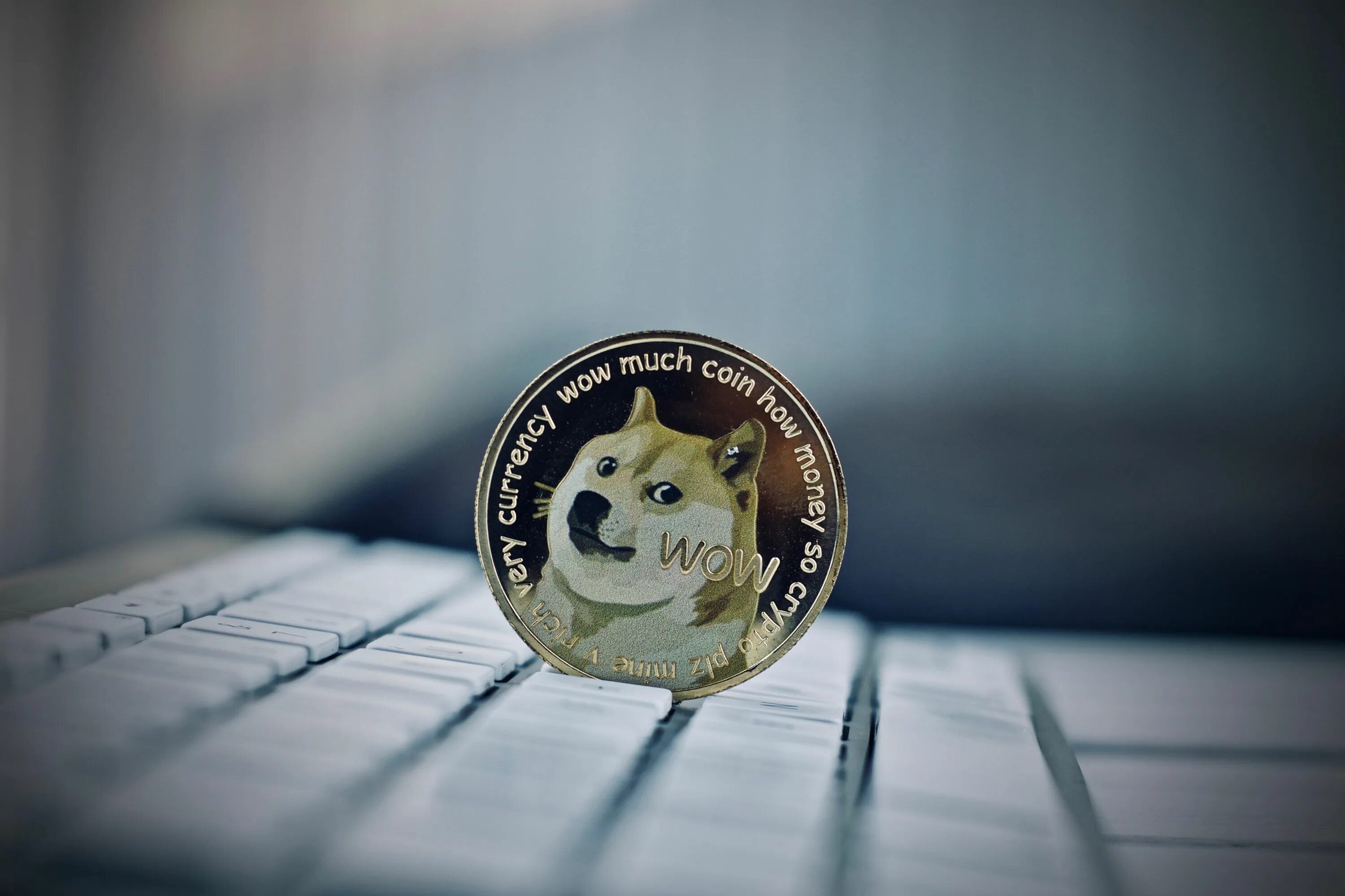 Доги коин цена. Монета догикоин. Догикоин логотип. Dogecoin фото. Логотип криптовалюты Dogecoin.