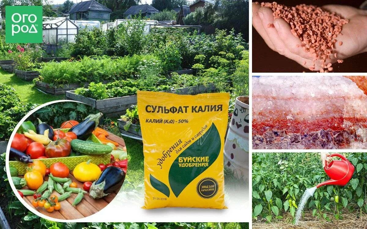 Калийные удобрения из чего делают. Калийные минеральные удобрения. сернокислый калий удобрение. хлористый калий удобрение. сульфат калия удобрение.