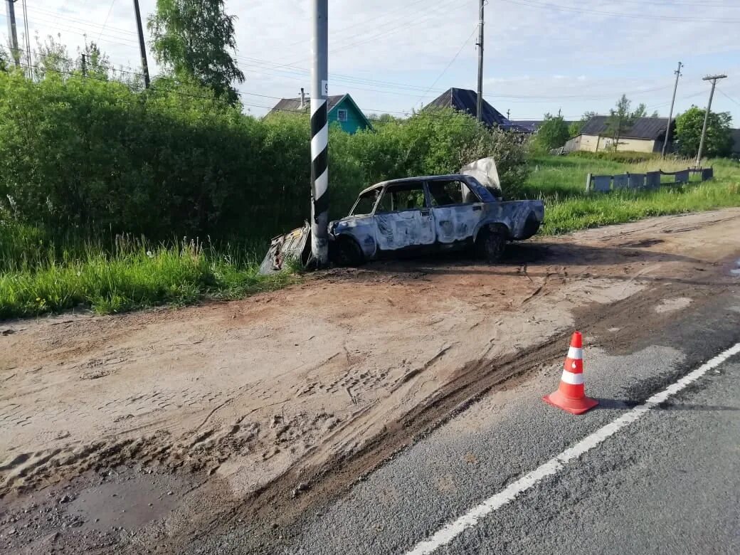 Свежие новости новгородская область. Деревня Борки Новгородская область.