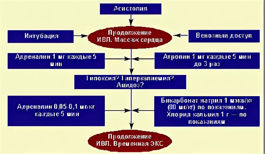 Помощь при асистолии. Алгоритм слр при асистолии. механизм развития асистолии. неотложная помощь при асистолии на догоспитальном этапе. асистолия действия медсестры.