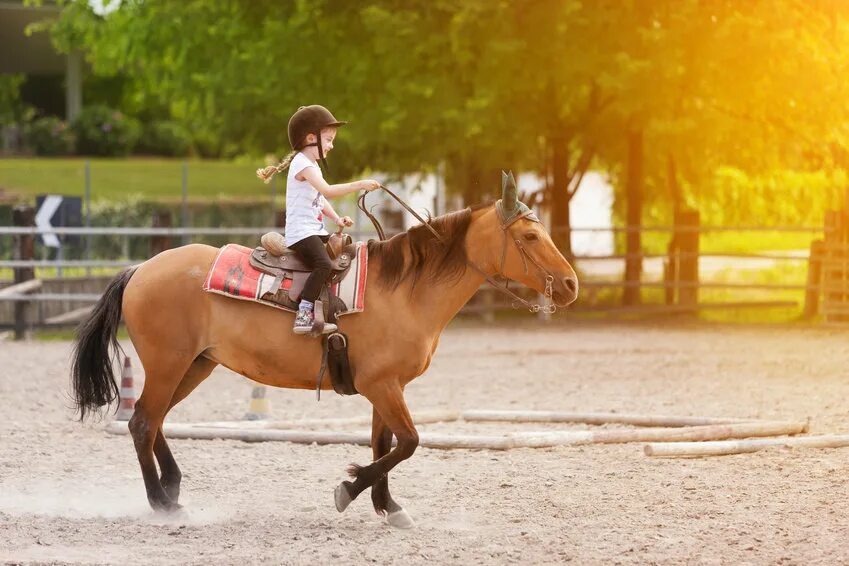 Horse kids. Horse riding. Испанская прогулка на лошади. Ride a Horse. Конный прогулка американский.