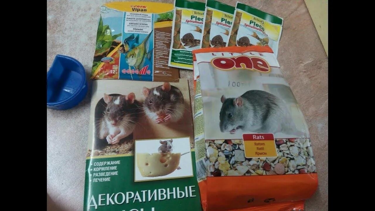 Какую траву давать крысам
