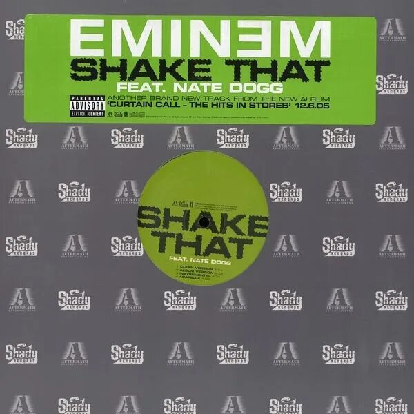 Work shake that. Shake that shit. Shake that shit. Nate dogg. Eminem shake that ft.