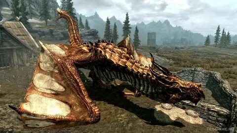 Dragon se