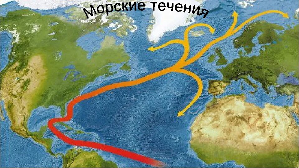 Прочитайте текст 2 гольфстрима. Гольфстрим в Атлантическом океане. Гольфстрим морские течения. Атлантическое течение Гольфстрим. Гольфстрим течения Атлантического океана.