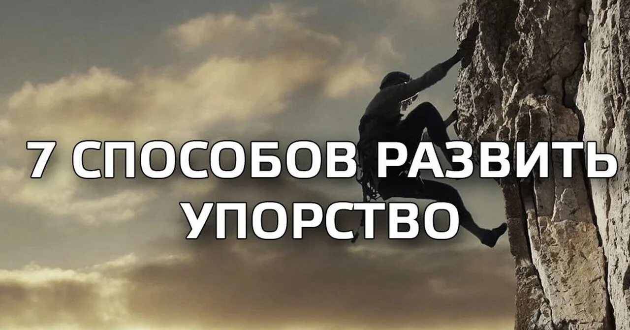 Упорство цитаты. Способы развития настойчивости. упорство залог победы. упорство как развить. упорство это победа покинь комнату.