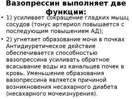 Основные эффекты вазопрессина