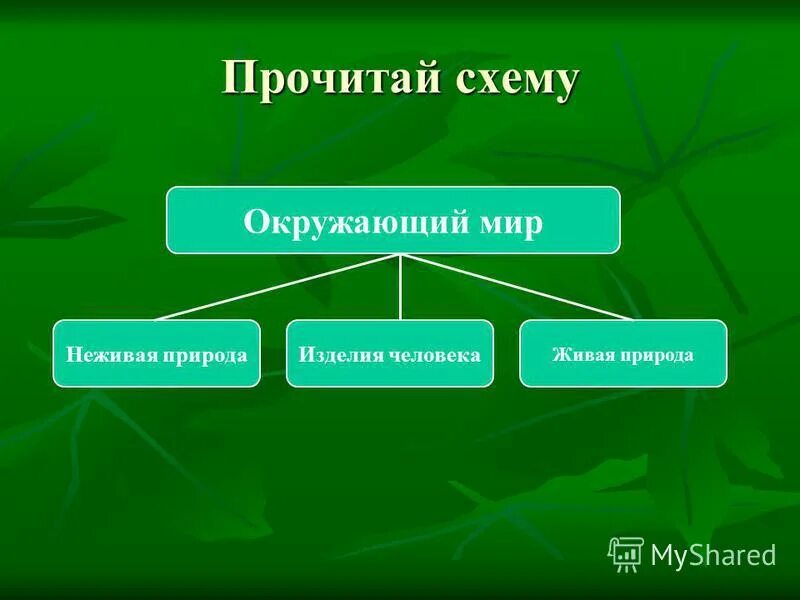 Определи живой компонент. Живая и неживая природа. Классификация неживой природы.