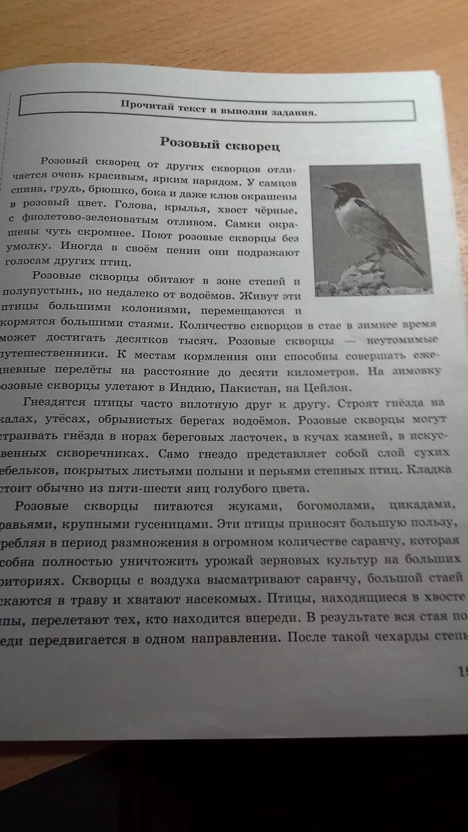 Текст розовые скворцы. Розовый скворец комплексная работа. Комплексные задания к текстам .розовый скворец. Комплексные задания к текстам .розовый скворец ответы на вопросы. Вопросы к комплексной работе розовый скворец.