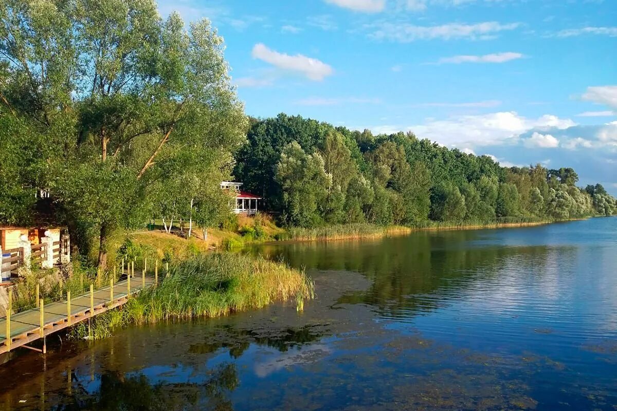 Путевки медвежье озеро. Медвежьи озера Щелковский район. Парк отель Медвежьи озёра, деревня Медвежьи озёра. Деревня Медвежьи озёра Щелковский район Московская область. Д Медвежьи озера Щелковский район.