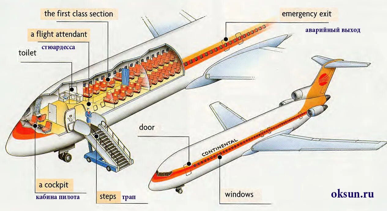 Про самолет на английском. Строение самолета. Строение пассажирского самолета. Самолет в разрезе. Название частей самолета.