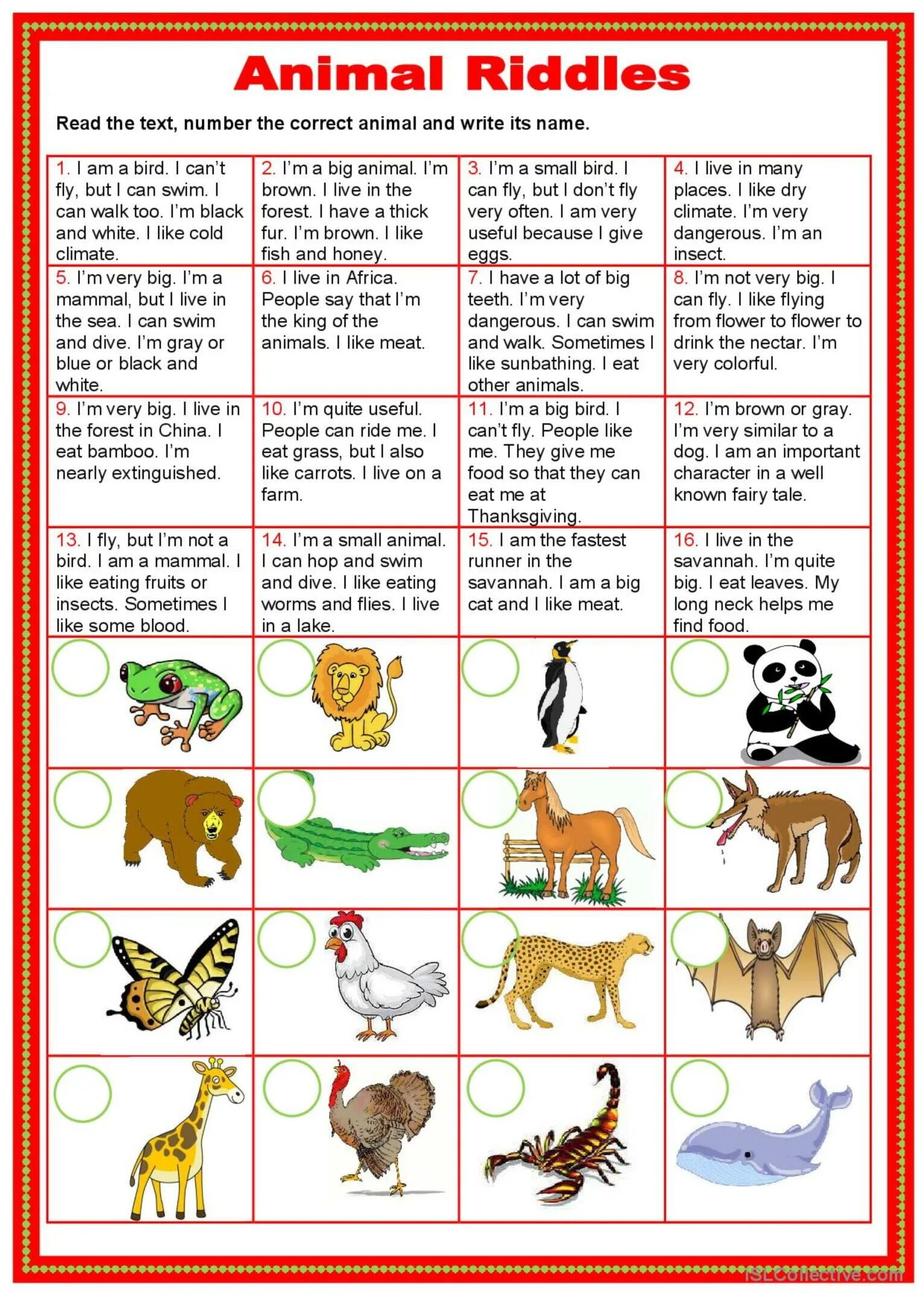 Write about animals перевод. Animal riddles. animal riddles ответы. english riddles about animals. riddles about animals for kids.