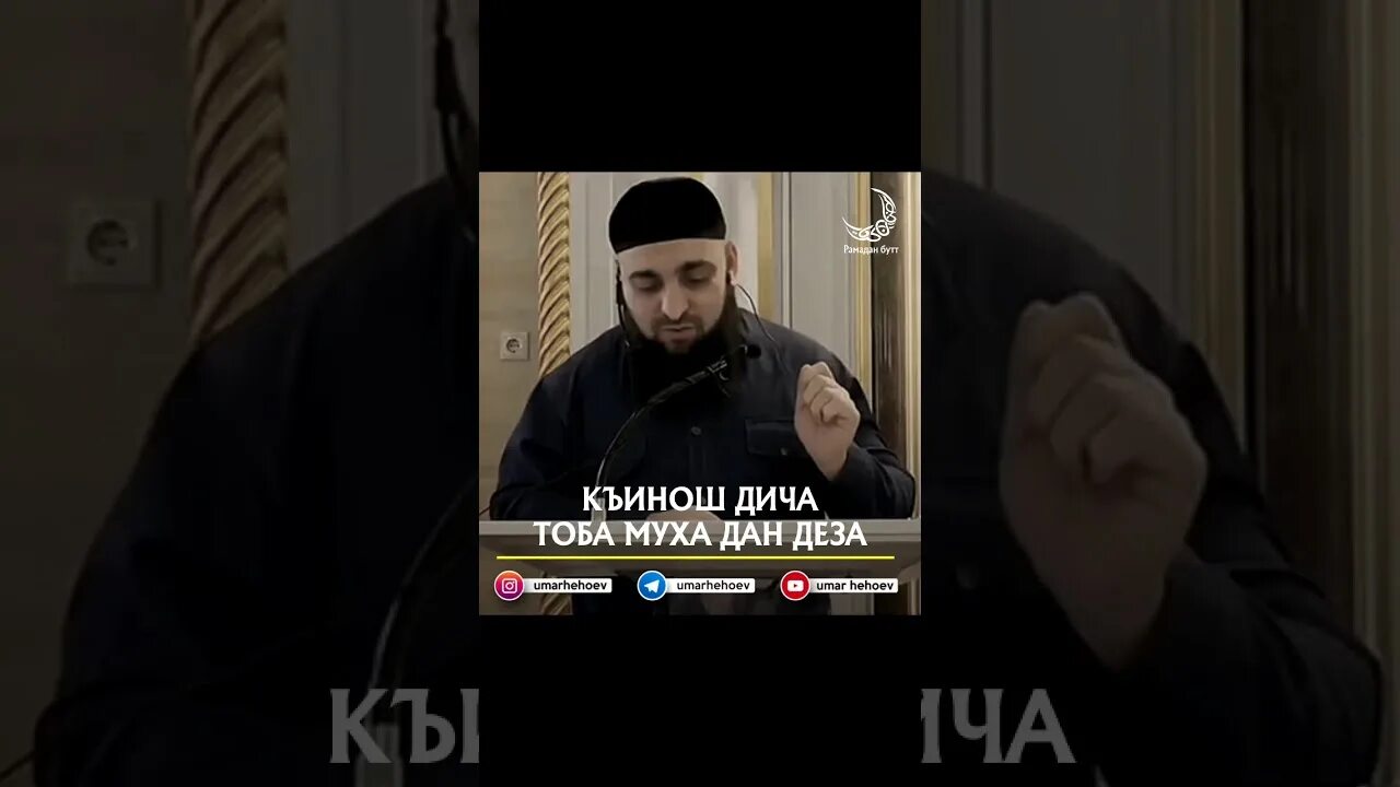 Муха да деза. Тоба Муха да деза. Тоба Муха да деза текст.