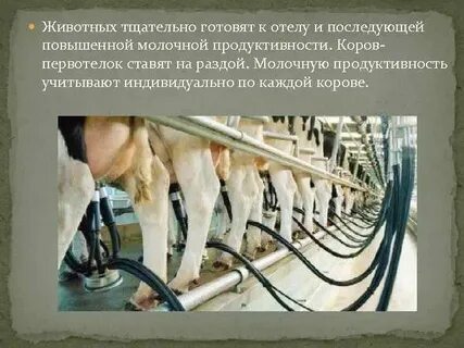 Молочная фактор