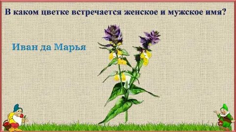 Имя встречается